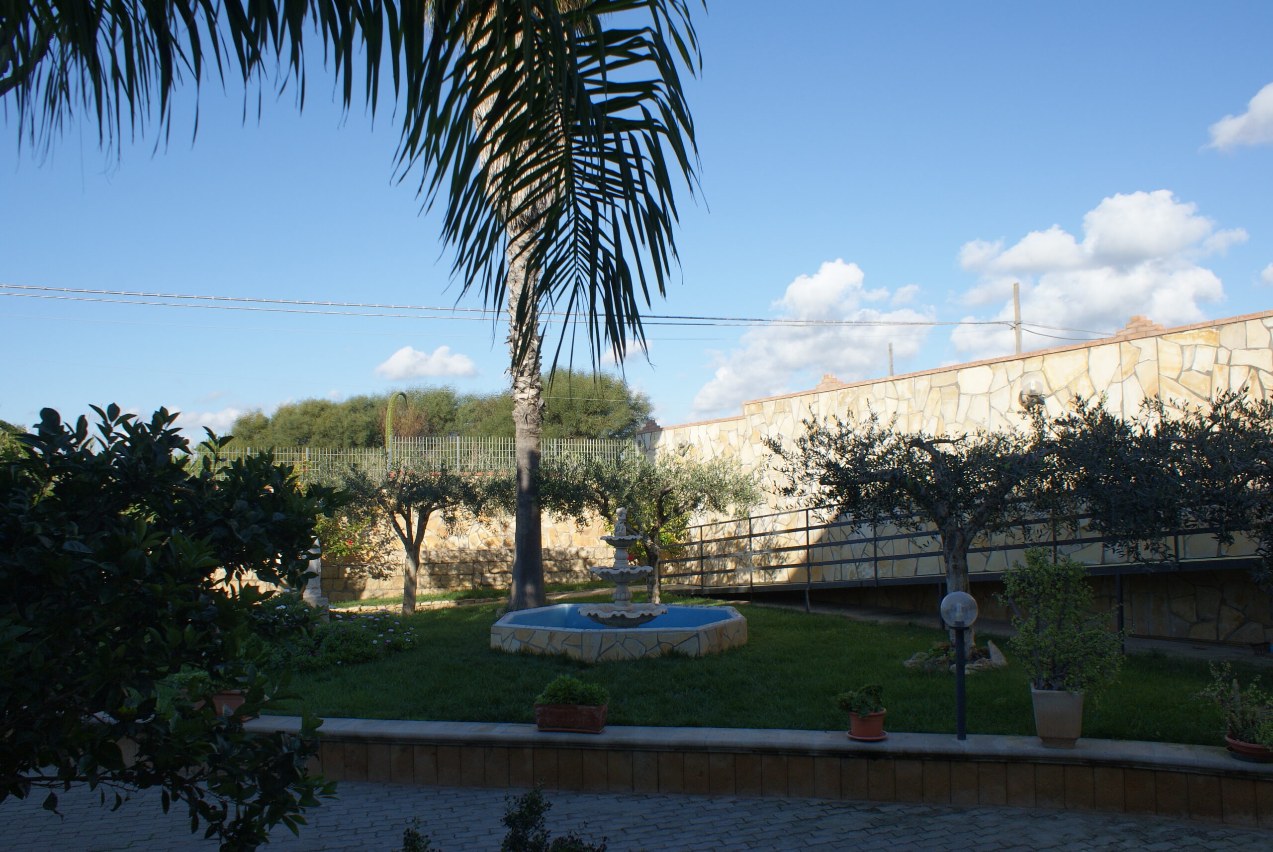 SONY DSC